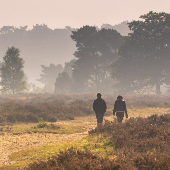 Twee mensen wandelen op een mistige heide.